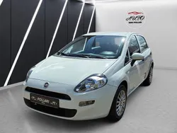 Weiß Gebraucht 2016 Fiat Punto Evo Kleinwagen | 5.600 € (Teuer)