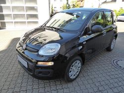 Schwarz Neu 2025 Fiat Panda Kleinwagen | 14.990 € (Fairer Preis)