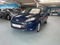 Blau Gebraucht 2009 Ford Fiesta Trend Kleinwagen | 4.400 € (Fairer Preis)