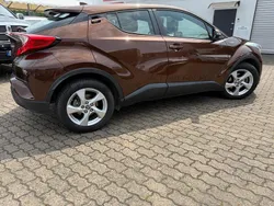 Braun Gebraucht 2017 Toyota C-HR SUV | 12.999 € (Guter Preis)