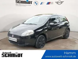 Schwarz Gebraucht 2008 Fiat Grande Punto Kleinwagen | 2.040 € (Guter Preis)