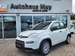 Weiß Gebraucht 2023 Fiat Panda Kleinwagen | 11.719 € (Guter Preis)