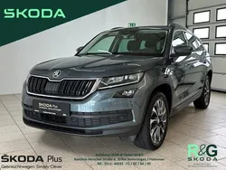 Grau Gebraucht 2020 Skoda Kodiaq Drive SUV | 24.990 € (Fairer Preis)