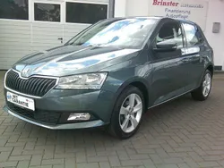 Grau Gebraucht 2020 Skoda Fabia Kleinwagen | 12.999 € (Fairer Preis)