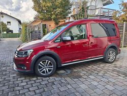 Rot Gebraucht 2019 VW Caddy Van / Kleinbus | 24.900 € (Teuer)