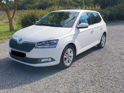 Weiß Gebraucht 2020 Skoda Fabia Style Kleinwagen | 12.650 € (Fairer Preis)