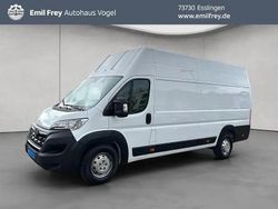 Weiß Gebraucht 2024 Opel Movano Van | 26.980 €