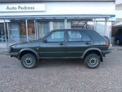 Grün Gebraucht 1991 VW Golf Country Kleinwagen | 9.000 €