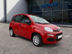 Schwarz Neu 2025 Fiat Panda Kleinwagen | 16.490 € (Teuer)