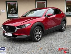 Rot Gebraucht 2019 Mazda CX-30 Selection SUV | 19.685 € (Fairer Preis)