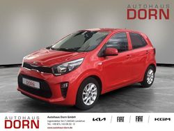Rot Gebraucht 2019 Kia Picanto DREAM-TEAM Edition Kleinwagen | 10.990 € (Etwas zu teuer)