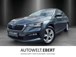 Grau Gebraucht 2020 Skoda Scala Cool Plus Kleinwagen | 15.890 € (Fairer Preis)