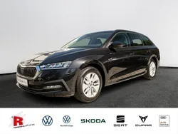 Blackmagic perleffekt Gebraucht 2024 Skoda Octavia Ambition Kombi | 30.740 € (Guter Preis)