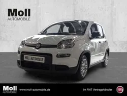 Weiss Gebraucht 2024 Fiat Panda Kleinwagen | 13.975 € (Fairer Preis)