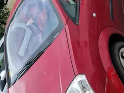 Rot Gebraucht 2004 Opel Meriva Van / Kleinbus | 1.100 € (Guter Preis)