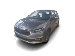 Grau Gebraucht 2024 Skoda Fabia Style Limousine | 24.149 € (Etwas zu teuer)