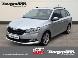 Silber Gebraucht 2022 Skoda Fabia Active Kleinwagen | 16.970 €