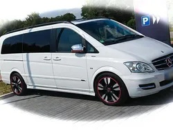 Mercedes Viano