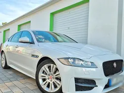 Weiß Gebraucht 2015 Jaguar XF R-Sport Limousine | 12.500 €