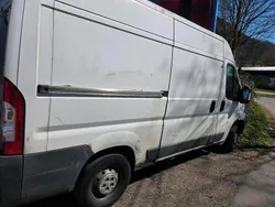 Weiß Gebraucht 2006 Fiat Ducato Van | 2.500 €