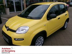 Gelb Neu 2025 Fiat Panda Kleinwagen | 16.990 € (Etwas zu teuer)