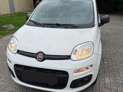 Weiß Gebraucht 2018 Fiat Panda Easy Kleinwagen | 5.800 € (Guter Preis)