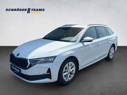 Moonweiss Gebraucht 2024 Skoda Octavia Selection Kombi | 32.990 € (Guter Preis)