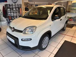 Weiß Neu 2024 Fiat Panda Kleinwagen | 15.490 € (Fairer Preis)