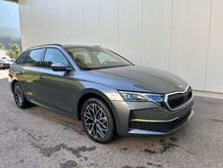 Grau Neu 2025 Skoda Octavia Selection Kombi | 38.900 € (Fairer Preis)