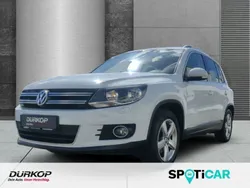Weiß Gebraucht 2014 VW Tiguan Sportline SUV | 9.490 € (Guter Preis)