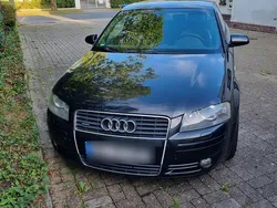 Schwarz Gebraucht 2004 Audi A3 S-Line Kleinwagen | 5.000 € (Superpreis)