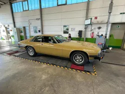 Gelb Gebraucht 1977 Jaguar XJS Coupé | 24.000 €