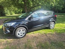 Schwarz Gebraucht 2019 Ford Kuga Trend SUV | 13.500 € (Guter Preis)