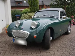 Grün Gebraucht 1959 Austin Healey Sprite | 23.900 €