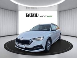 Candyweiss Gebraucht 2022 Skoda Octavia Kombi | 22.930 € (Guter Preis)
