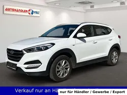 Weiß Gebraucht 2018 Hyundai Tucson SUV | 11.999 € (Superpreis)