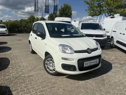 Weiß Neu 2025 Fiat Panda Kleinwagen | 14.589 € (Fairer Preis)