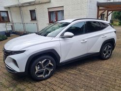 Weiß Gebraucht 2024 Hyundai Tucson SUV | 29.900 €