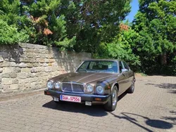 Beige Gebraucht 1983 Jaguar XJ12 Limousine | 17.500 €
