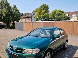 Grün Gebraucht 2002 Nissan Almera Kleinwagen | 1.800 €