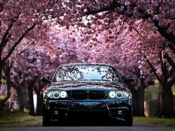 Schwarz Gebraucht 2009 BMW 125 Coupé Sport Line Coupé | 18.000 €