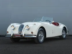 Weiß Gebraucht 1954 Jaguar XK Cabrio | 139.500 €
