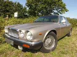Gold Gebraucht 1987 Jaguar XJ12 Limousine | 8.500 €