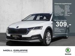 Moonweiß perleffekt (metallic) Gebraucht 2022 Skoda Octavia Kombi | 30.780 € (Fairer Preis)