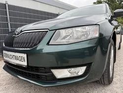 Grün Gebraucht 2014 Skoda Octavia Kombi | 10.400 € (Guter Preis)