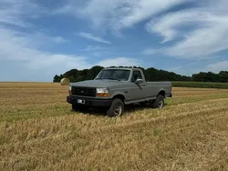 Grau Gebraucht 1995 Ford F250 XLT SUV | 16.999 €