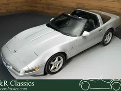 Grau Gebraucht 1996 Chevrolet Corvette C4 Cabrio | 19.950 €