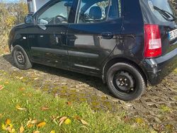 Schwarz Gebraucht 2008 Kia Picanto Kleinwagen | 1.650 €