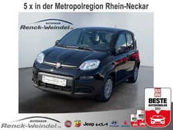 Weiss Gebraucht 2024 Fiat Panda Kleinwagen | 15.989 € (Etwas zu teuer)