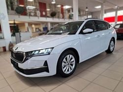 Weiß Gebraucht 2025 Skoda Octavia Selection Kombi | 26.990 € (Superpreis)
